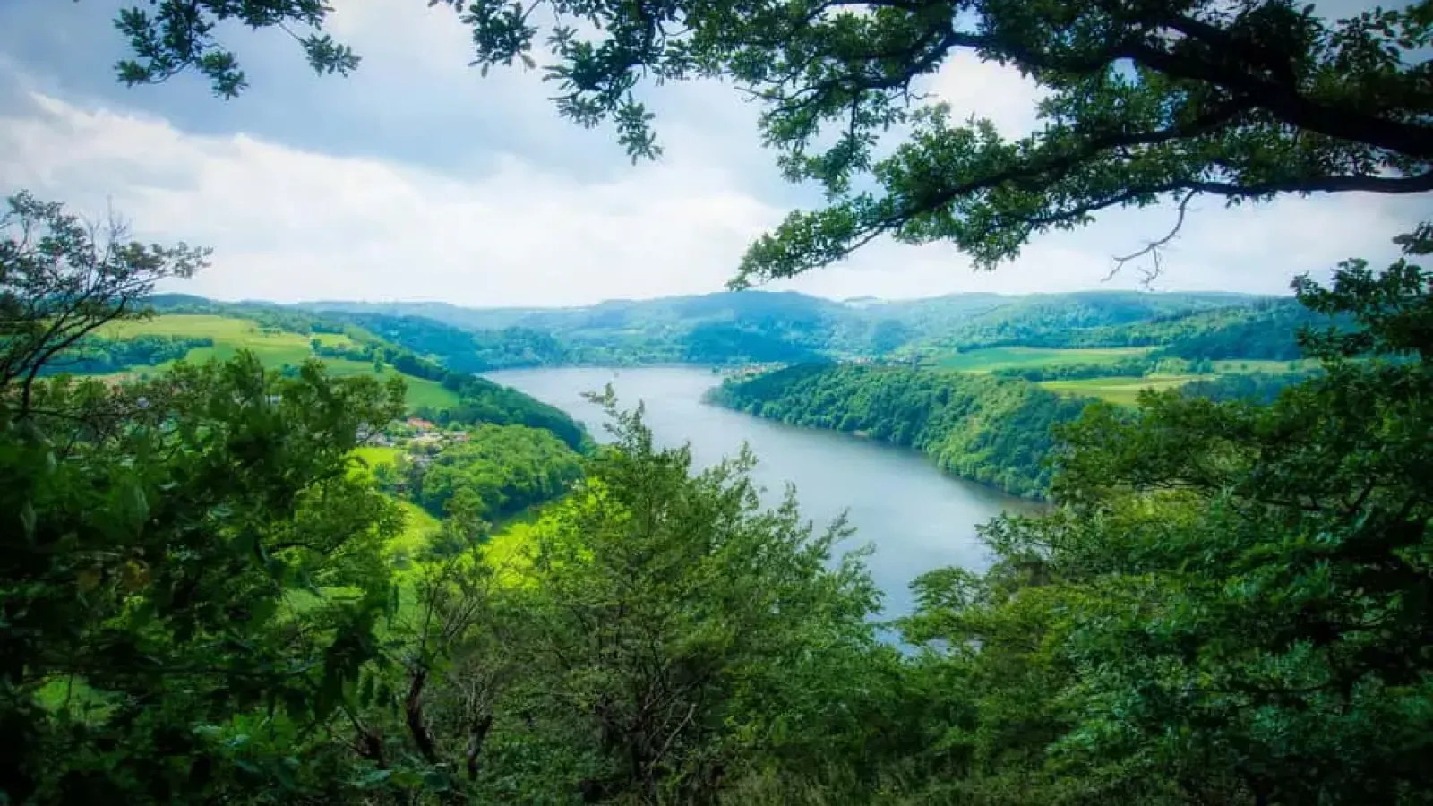 Duitsland | Hessen | Beukenbos, Edersee, heuvels